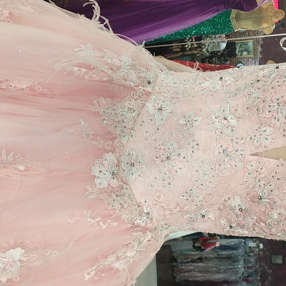 Quinceanera or Prom gown pink with feathers corset back - Picture 4 of 10